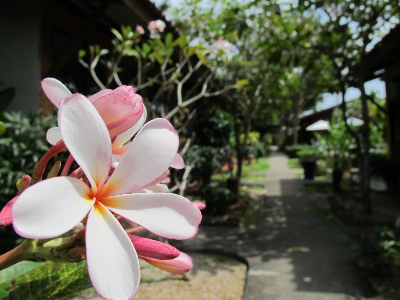 Phuket Siam Villas - Sha Plus Chalong Dış mekan fotoğraf